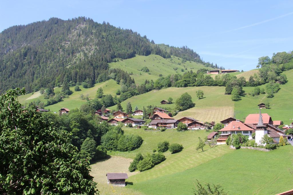 Chalet Park Apartment Mit Sauna Hamam Diemtigen Rum bild
