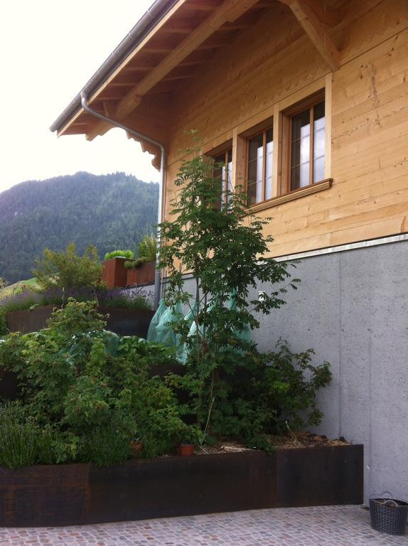 Chalet Park Apartment Mit Sauna Hamam Diemtigen Rum bild